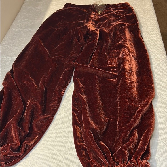 We The Free Free People Velvet Joggers with Billowy Silhouette. NEW. Boho - Picture 9 of 11